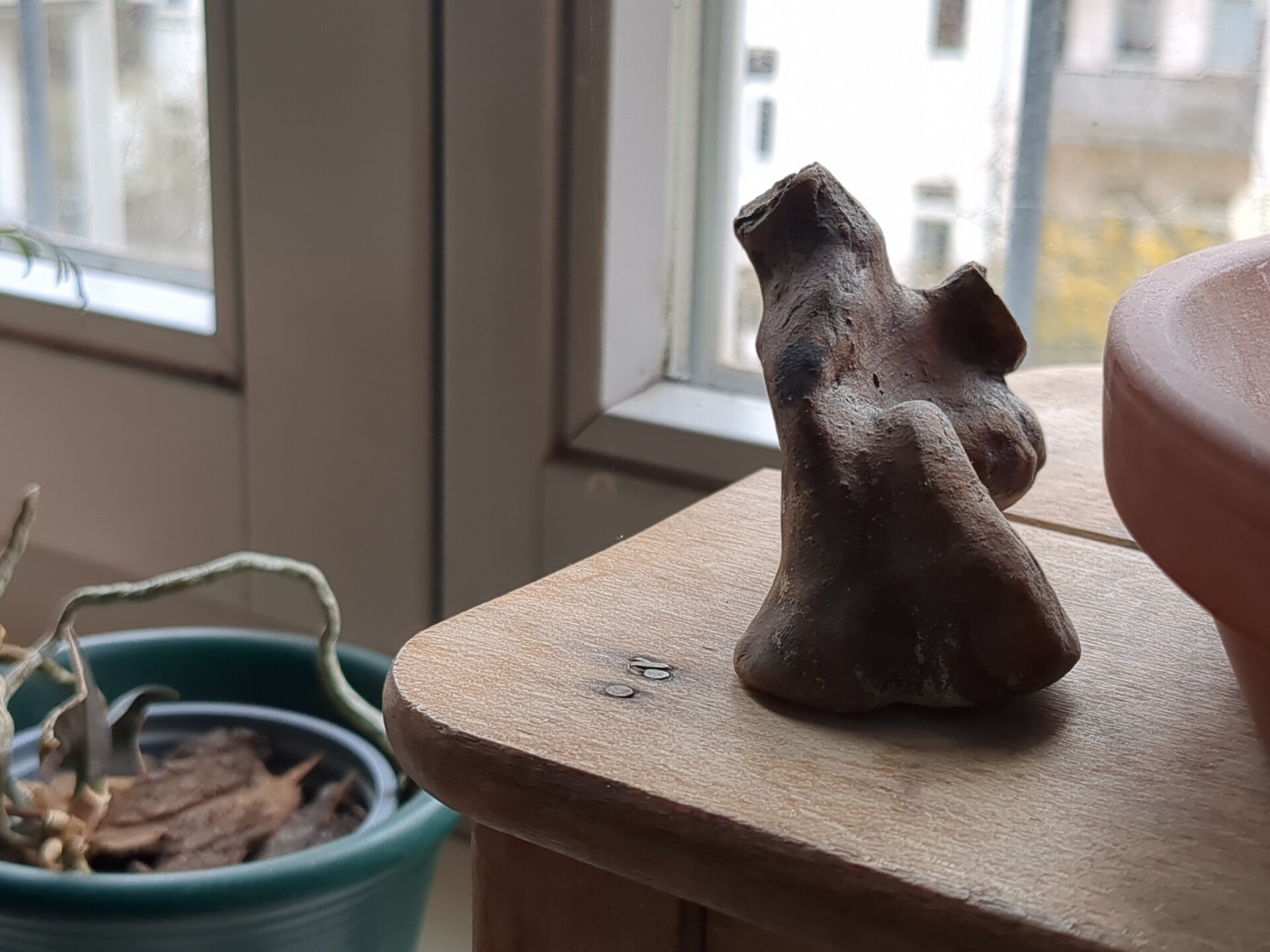 Organic sculpture resting on wood, bathed in soft window light.