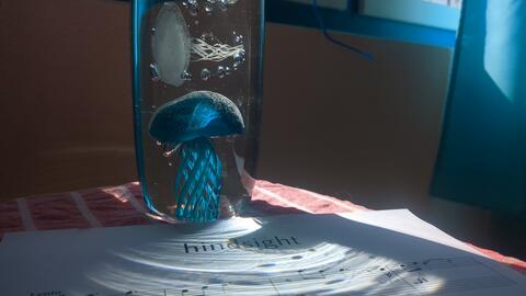 A glass vial containing preserved life rests beside sheet music illuminated by natural light.