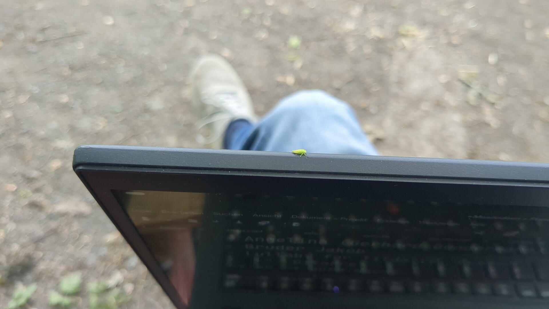 Sheet music displayed on a screen, viewed outdoors with a small green insect resting on the edge.