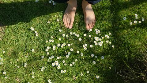 Bare feet resting on a carpet of spring wildflowers.