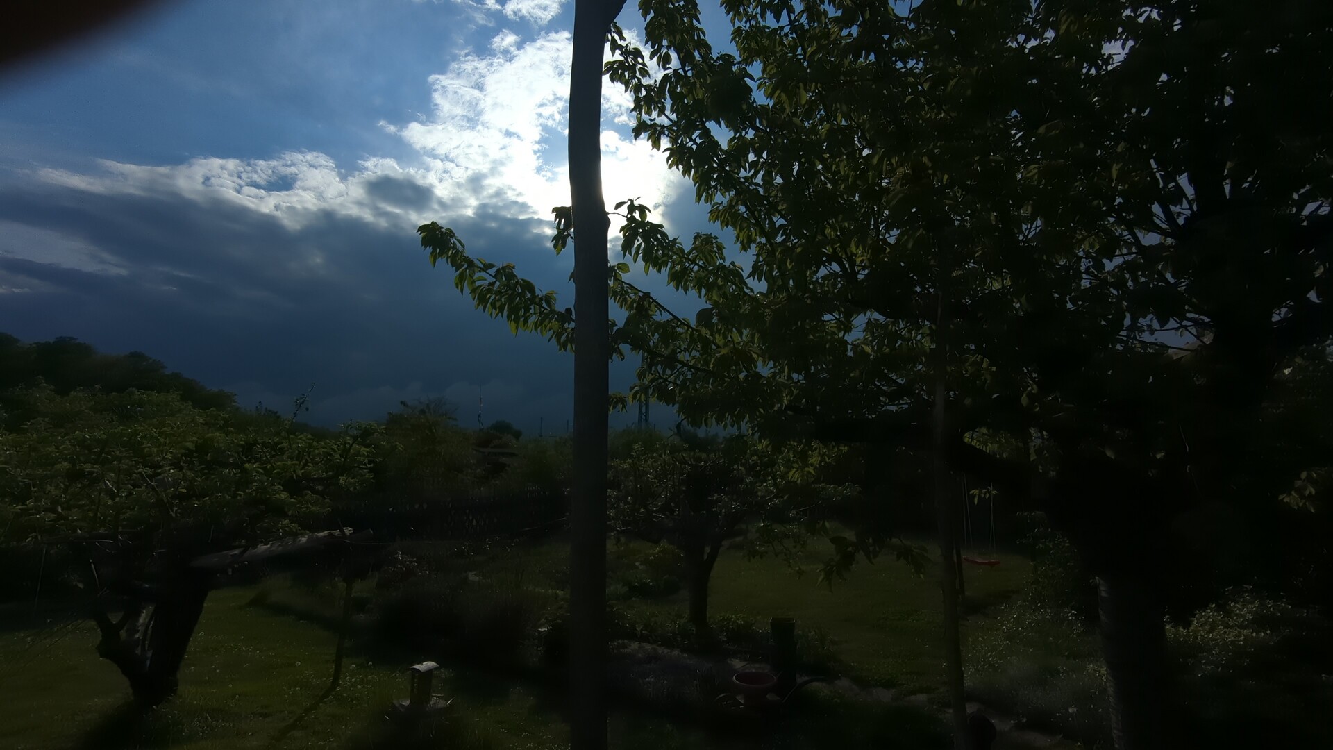 Dramatic natural light filtering through an orchard canopy under a moody sky.