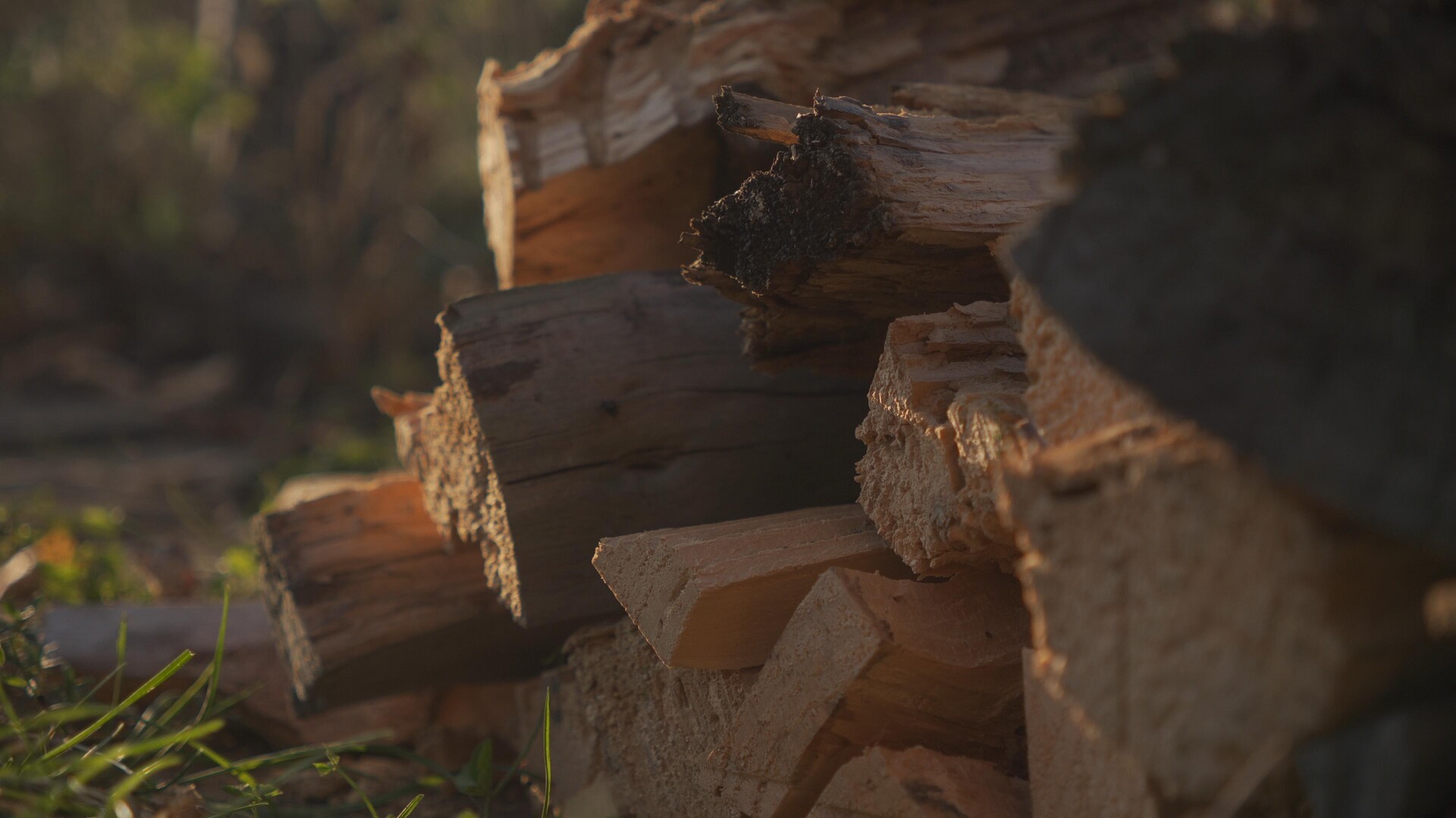 Golden sunlight illuminating the rich, natural grain of stacked lumber.
