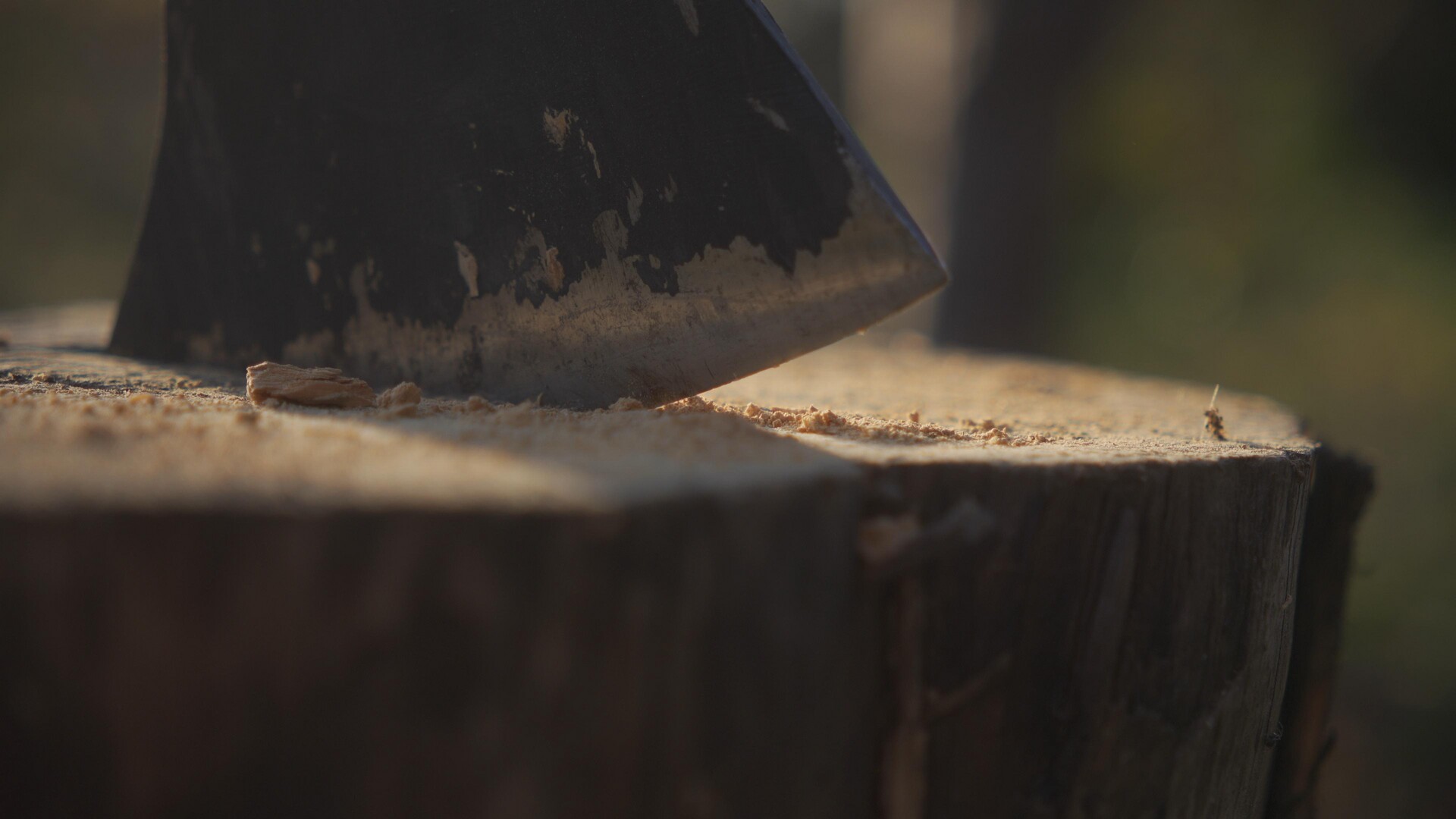 The quiet residue of creation, captured in wood and steel.