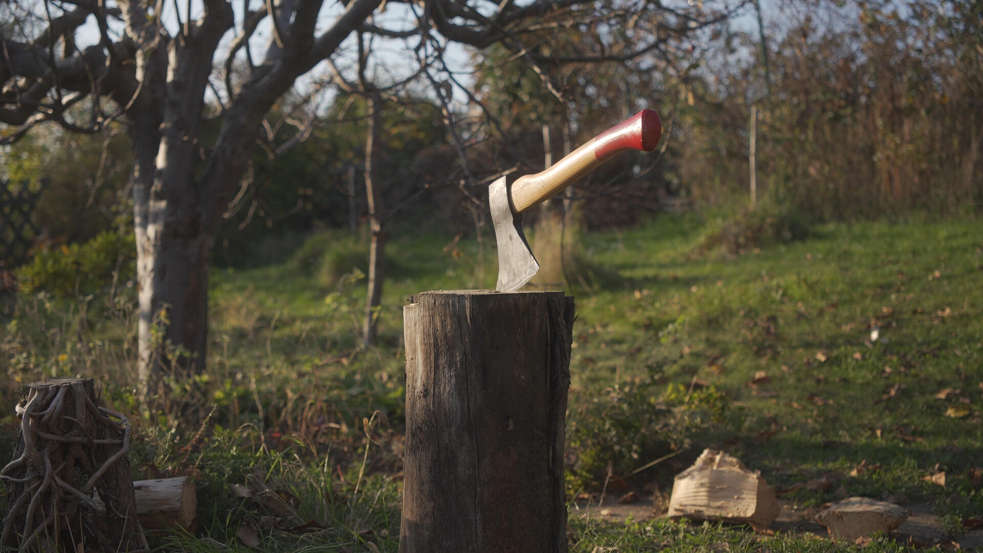 Weathered wood and tools set against a soft, natural landscape.
