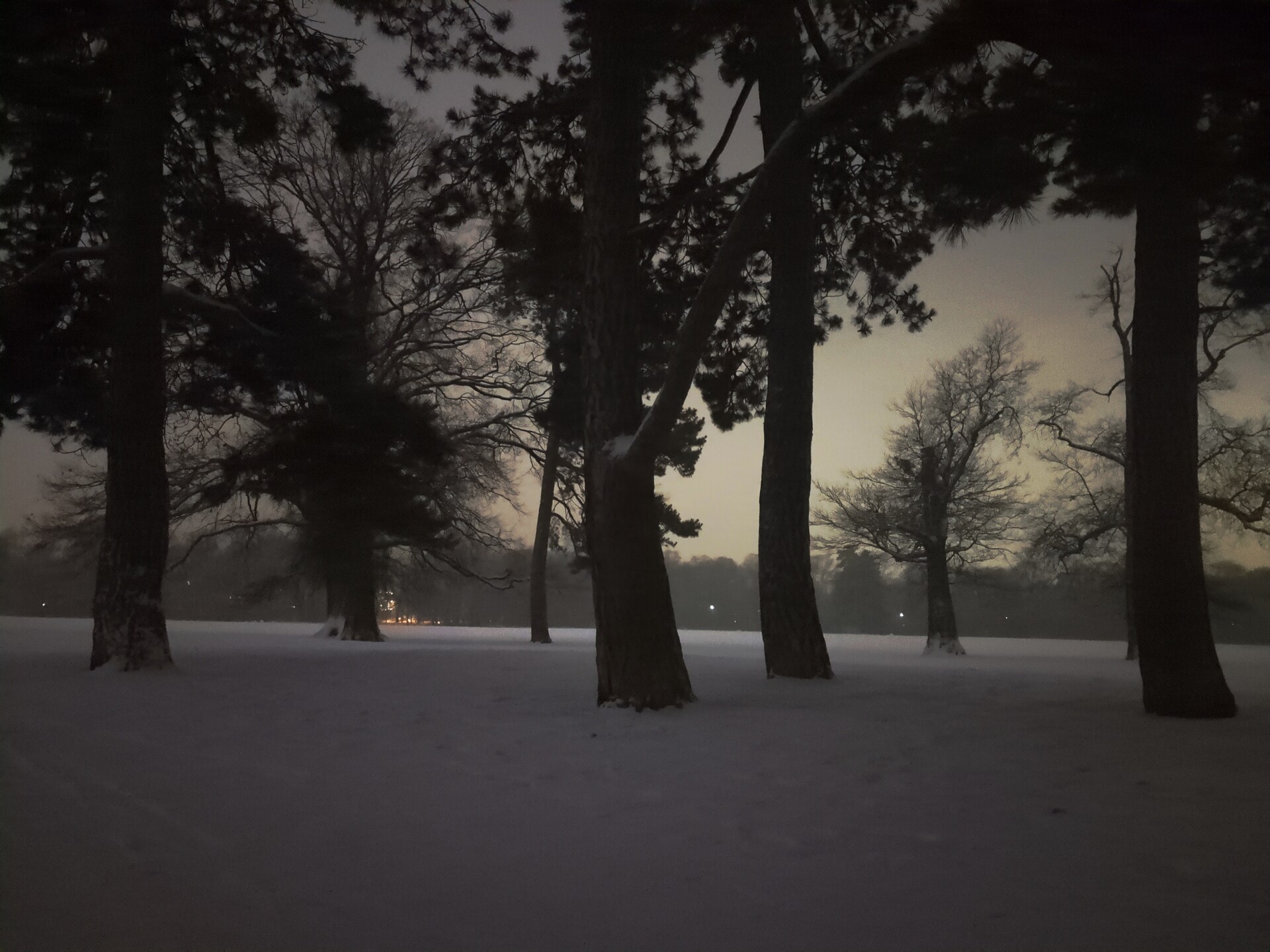 Twilight silhouettes in a snowy landscape, suggesting quiet contemplation and depth.